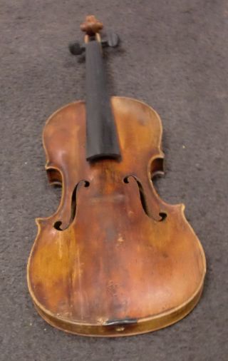Violine Antik Bild