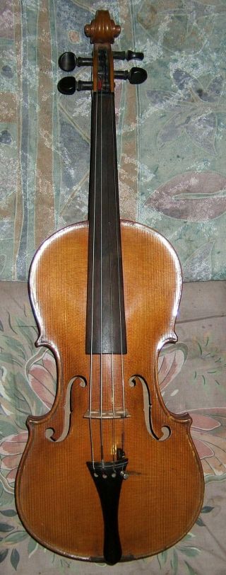 Schöne,  Alte Geige Dollenz Bild
