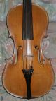 Schöne,  Alte Geige Dollenz Saiteninstrumente Bild 1
