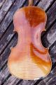 Alte Geige / Violin / Violon Saiteninstrumente Bild 5