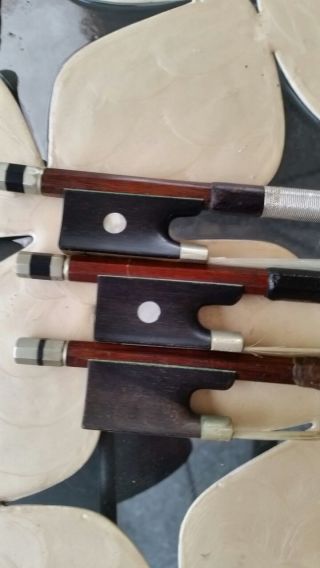 Konvolut Alter Violinen - Bögen Fernambuk Old Bow Nur 3 Tage Bild
