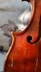 Alte Violine M.  Koffer U.  Bogen Old Violin Nur 3tage Saiteninstrumente Bild 3