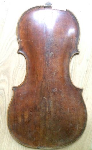 Alter Boden Für Geige Violine Violino Old Violin Geigenbau Um Ca.  1750 - 1800 Bild