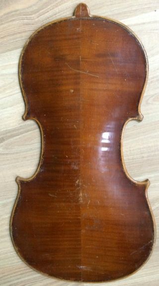 1 X Boden Für Geige Violine Violino Old Violin Geigenbau Um Ca.  1900 Bild