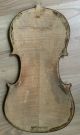 1 X Boden Für Geige Violine Violino Old Violin Geigenbau Um Ca.  1900 Saiteninstrumente Bild 1