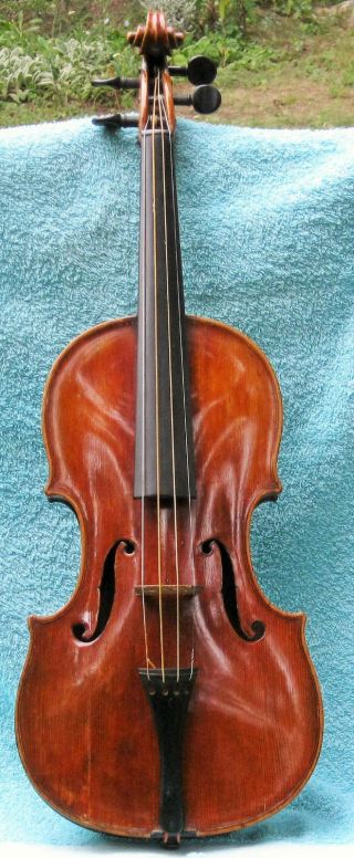 Alte Interessante Geige Bild