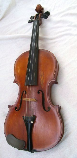 Alte Violine 4/4 Geige Geteilter Boden Schön Gemasert Old Violin Bild