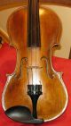 Alte Geige Saiteninstrumente Bild 3