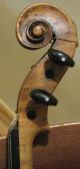 Alte Geige Saiteninstrumente Bild 4