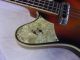 Vintage Framus Bass 4 - Saiten,  Model 5/151 - 52,  Aus 1964 Saiteninstrumente Bild 10