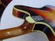 Vintage Framus Bass 4 - Saiten,  Model 5/151 - 52,  Aus 1964 Saiteninstrumente Bild 5