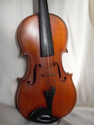Feine Alte Meistergeige Old Violin Zettel Antik Bild