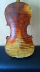 Alte 4/4 Geige / Violin / Violon / Violine - Bruder Lutz In SchÖnbach N° 234 Saiteninstrumente Bild 2