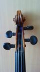 Alte 4/4 Geige / Violin / Violon / Violine - Bruder Lutz In SchÖnbach N° 234 Saiteninstrumente Bild 7