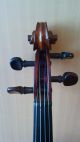 Alte 4/4 Geige / Violin / Violon / Violine - H.  Glotelle Saiteninstrumente Bild 8
