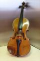 Alte Geige,  1/2,  Alte Violine Saiteninstrumente Bild 1