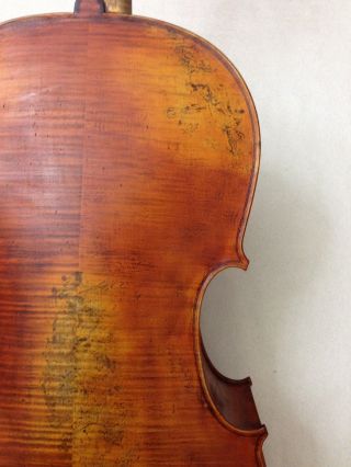 Sehr Schönes Cello Mit Besonderem Muster Und Zettel, Bild