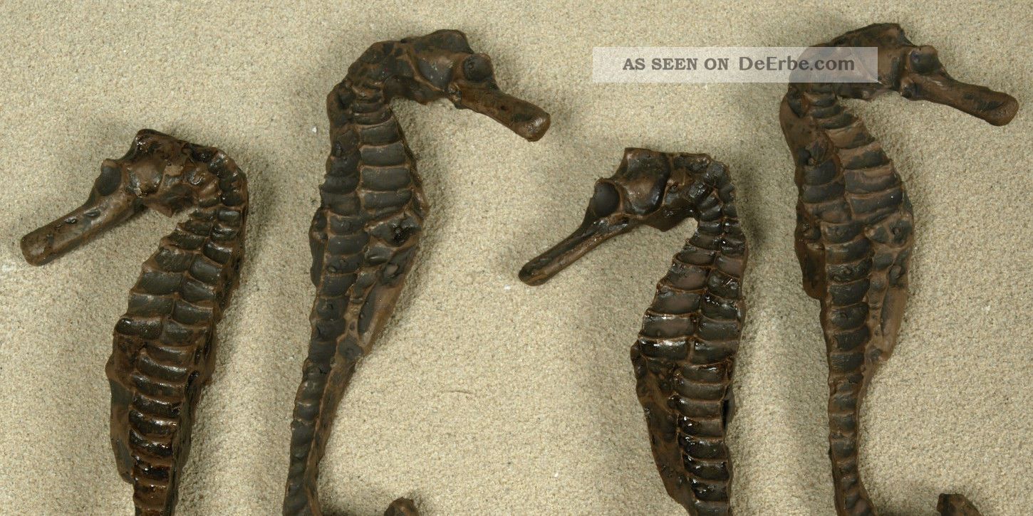 4x Seepferdchen Ca. 9cm Aus Polyresin Für Die Maritime ...