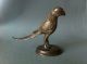 Schöner Und Seltener Bronzevogel Mit Resten Von Vergoldung Vor 1900 Vor 1900 Bild 1