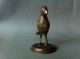 Schöner Und Seltener Bronzevogel Mit Resten Von Vergoldung Vor 1900 Vor 1900 Bild 3