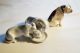 Royal Doulton Bone China Bulldogge,  Figurengruppe 2 Hunde Von Metzler&ortloff Um Nach Marke & Herkunft Bild 1