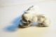 Royal Doulton Bone China Bulldogge,  Figurengruppe 2 Hunde Von Metzler&ortloff Um Nach Marke & Herkunft Bild 3