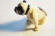 Royal Doulton Bone China Bulldogge,  Figurengruppe 2 Hunde Von Metzler&ortloff Um Nach Marke & Herkunft Bild 5