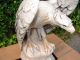 Großer Sehr Alter Schwerer,  Antiker Adler Aus Marmor,  Skulptur,  Plastik Einmalig Vor 1900 Bild 3