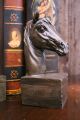 Schöne Buchstützen Pferde,  Pferdeköpfe,  Pferde - Büsten Hengst Skulptur,  Steinguss 1900-1949 Bild 10
