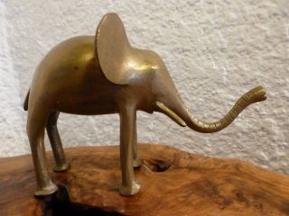 Elefant,  Bronze? Oder Messing? Skulptur,  Tiere,  Metallobjekt,  Metallarbeiten, Bild