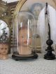 Shabby Chic Runder Glas Dom Globe De Mariage Madonna Sturz Uhr Gloche Figuren Skulpturen & Kruzifixe Bild 1
