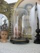 Shabby Chic Runder Glas Dom Globe De Mariage Madonna Sturz Uhr Gloche Figuren Skulpturen & Kruzifixe Bild 4