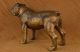 Bronze Skulptur Lebensgroße Englische Bulldogge Garten Außen Innen Kunst Ab 2000 Bild 3