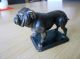 Hund Dogge Englische Bulldogge Bronze Auf Sockel Wiener Bronze Bronze Bild 1