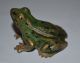 Wiener Bronze Frosch Frog Austria Um 1900 / Figur Bronze Bild 1