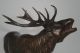 Künstler Bronze Skulptur Der Hirsch - Edelhirsch - Hirsch Orgelt Signiert Houska Ab 2000 Bild 1