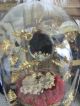 Frankreich Antiker Hochzeit Dom 19jh.  Globe De Mariée Shabby Chic Jdl Glas Haube Vor 1900 Bild 3