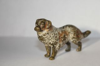 Wiener Bronze Hund Polychrome Bemalung Bild