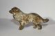 Wiener Bronze Hund Polychrome Bemalung 1900-1949 Bild 1