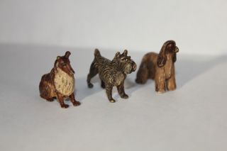 Wiener Bronzen 3 Hunde Polychrome Bemalung Bild