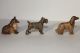Wiener Bronzen 3 Hunde Polychrome Bemalung 1900-1949 Bild 1