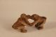 Wiener Bronze Küssende Affen Polychrome Bemalung 1900-1949 Bild 1