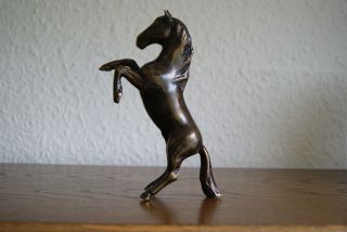Bronze Springendes Pferd - Sehr Schön Naturgetreu Anschauen Bild