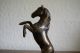 Bronze Springendes Pferd - Sehr Schön Naturgetreu Anschauen 1950-1999 Bild 1