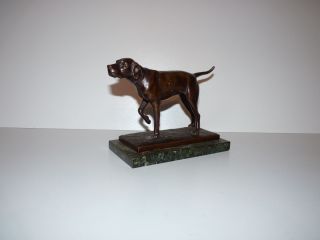Statue,  Skulptur Hund Aus Bronze Mit Marmorsockel Bild