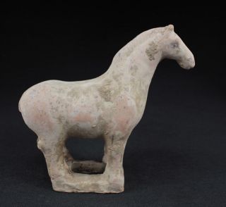Sammeln Alte Horse Skulpturen,  Terrakotta,  China Selten 19.  Jhd Bild