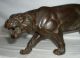 Top Alte Orig.  Bronze Sign.  Diller: Eine Raubkatze - Tiger - Gepard Bronze Bild 4