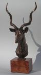 Künstler Bronze Skulptur Antilope,  Kudu - Signiert Houska Ab 2000 Bild 2