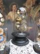 French Shabby Chic Glas Dom Flammende Herzen Votivgaben Gloche Globe Reliquie 1900-1949 Bild 9