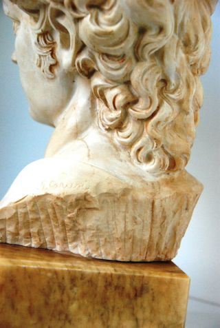Kopf Des David Von Michelangelo,  Perfekte Kopie,  Signiert G.  Carusi Bild